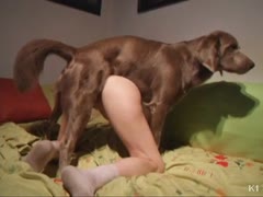 Dog orgasm inside the pussy of sexy bitch
